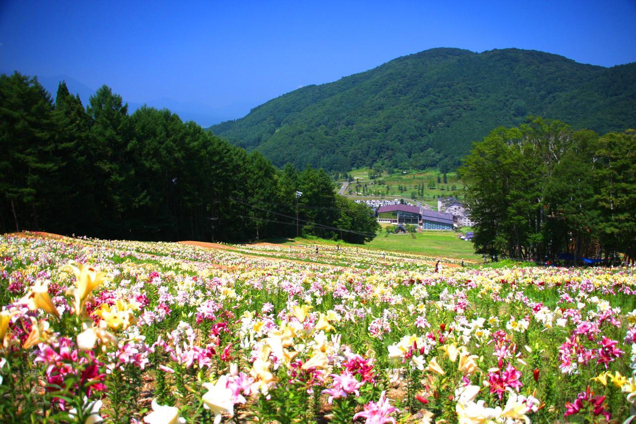 Hotel Harvest Madarao 信浓 外观 照片